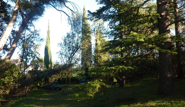 Spacious villa (220m2) on the heights, near Tour Magne
