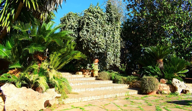 Spacious villa surrounded by greenery, ideal for groups(Numerous all inclusive services)