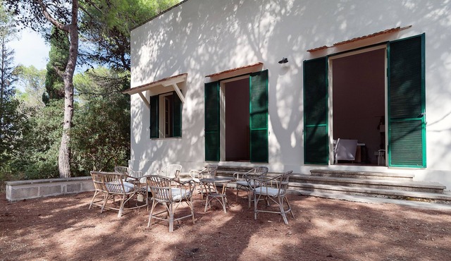 Spacious villa, surrounded by a pine forest, 300 meters from the sea and the town