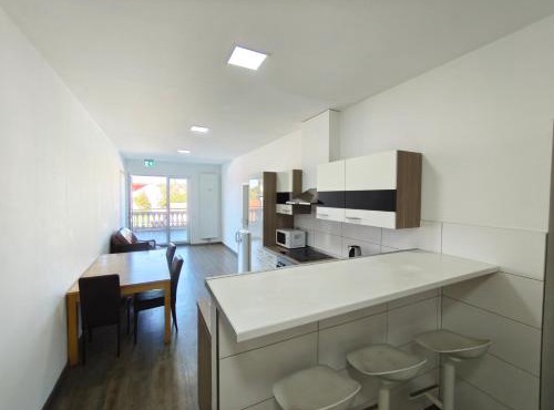 Spacious Worker Apartments with Rooftop Terrace - Up to 21 Guests