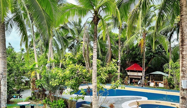 Spark Camp - Baler