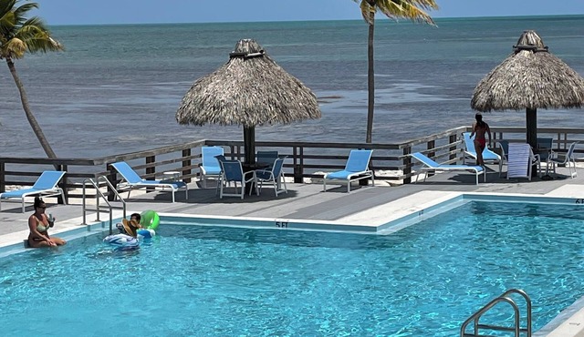 SPECIAL OFFER Pay for 5 nights get 7 nights Caloosa Cove Resort Islamorada Key