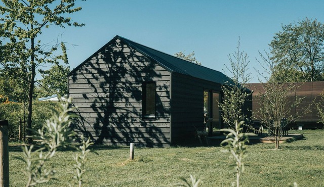 Specially designed chalet with dishwasher, in a holiday park near the sea