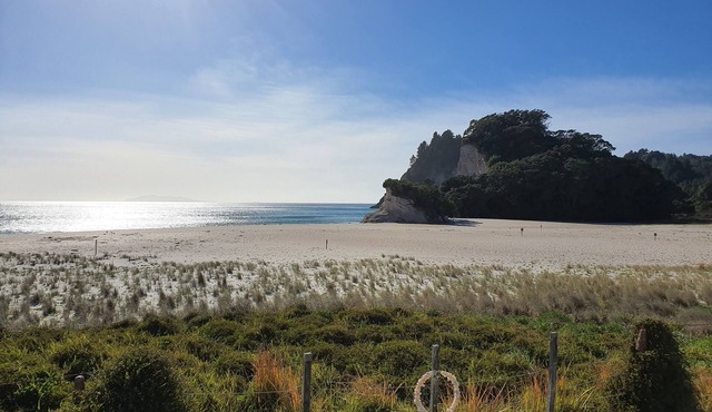Spectacular Beachfront in Whiritoa