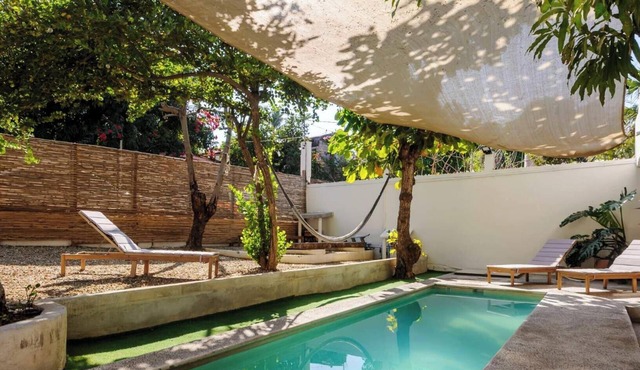 Spectacular Suite Steps Away From Center La Punta!