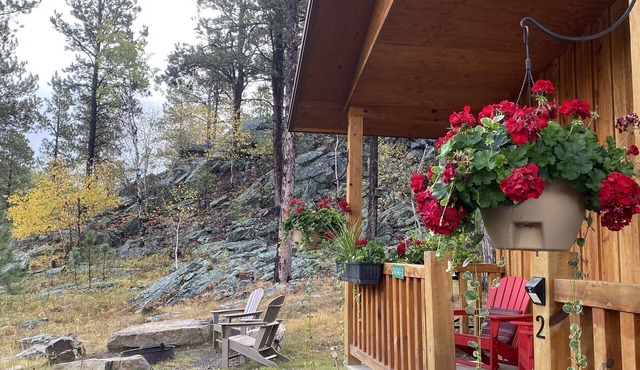 Spectacular setting, amenities, and centrally located to Mt. Rushmore and Custer State Park, and hiking. Wi-Fi. Excellent cell service (Verizon & ATT).A favorite cabin for honeymoons and anniversaries Private campfire. Off-season discounts. No extra