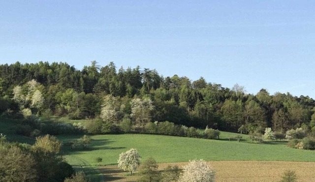 Spessart Romanticism