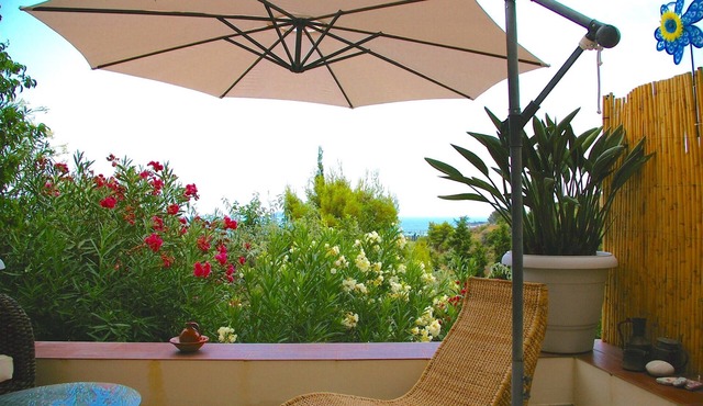 Spetses Island charming sea and pinehill view studio