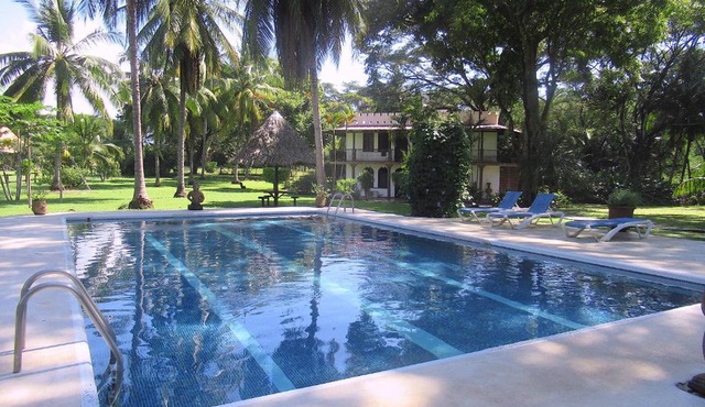 spirit of jungle lodge