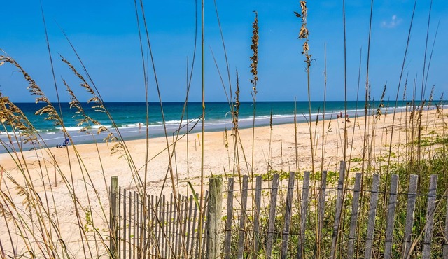 Splashing Dolphins by Distinctive Beach Rentals