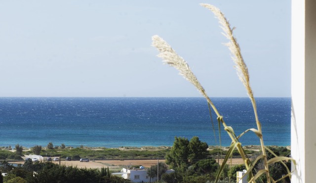 Splendid villa set in the Mediterranean scrub a stone's throw from the Ionian sea