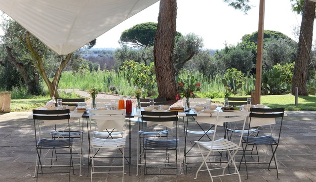 Splendid villa with pool and fitness area. 2 km from sea