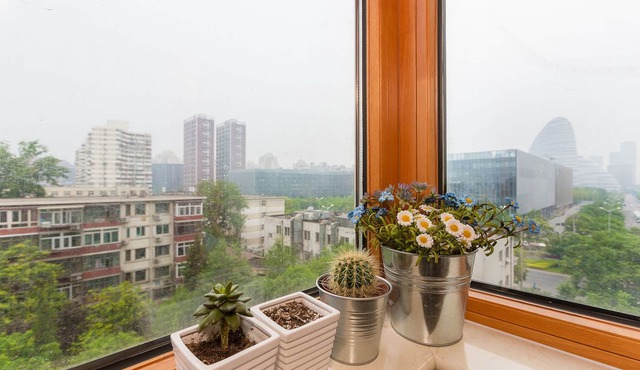 Splendiferous Apartment - Wang Jing