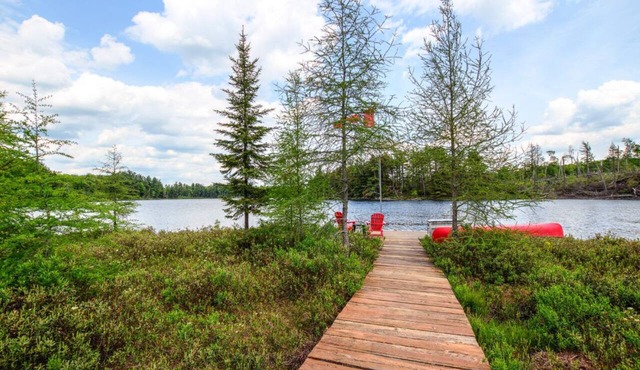 Spring discounts Available @ Muskoka Waterfront Cottage! Pet-Friendly!