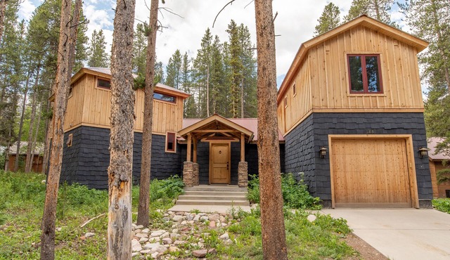 Spring Haven Home: Gorgeous, Dog Friendly