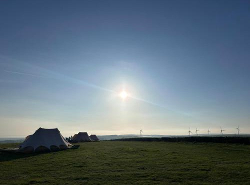 Springfield glamping