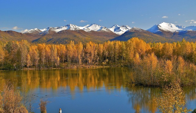 SpringHill Suites Anchorage University Lake