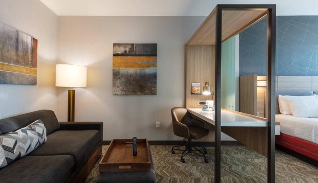SpringHill Suites by Marriott Chattanooga South/Ringgold