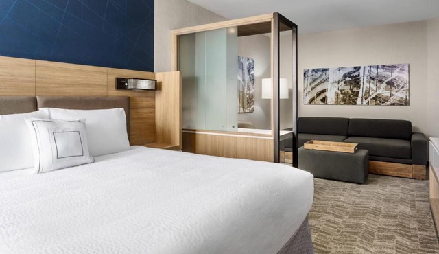 SpringHill Suites by Marriott Belmont Redwood Shores