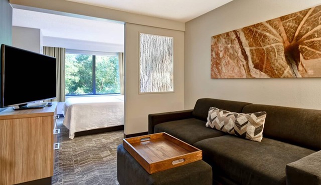 SpringHill Suites by Marriott Atlanta Kennesaw