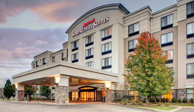 SpringHill Suites by Marriott Wheeling Triadelphia Area
