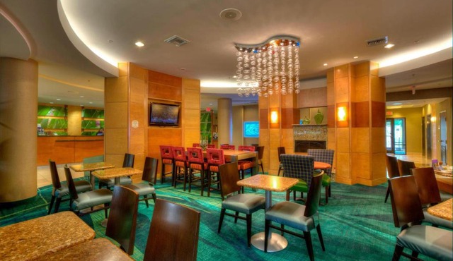 SpringHill Suites by Marriott - Tampa Brandon
