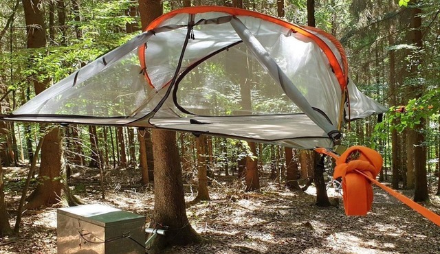 Spruce tree tent - Baumhaushotel Solling