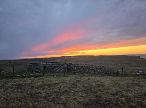Squealing Pig Bothy