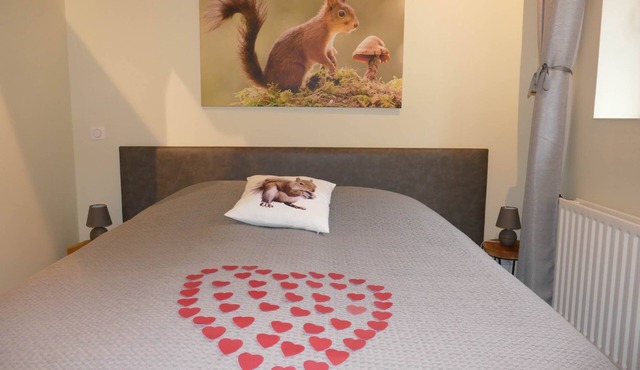 Squirrel Room