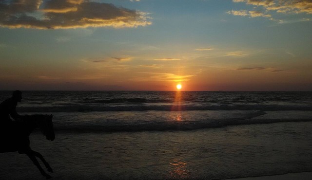 SS Beach Resort
