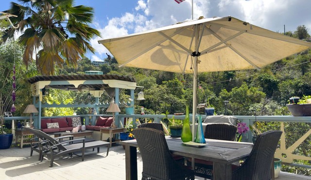 ST.JOHN, VIRGIN ISLANDS! 2 BEDROOM, 1.5 BATH, BEAUTIFUL TROPICAL GARDENS!