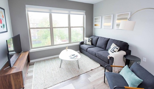 St Louis Luxurious 2BD 2BA Forest Park Apartment
