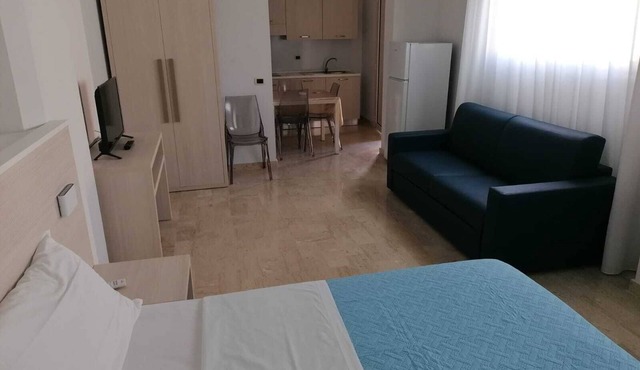 Standard studio apartment