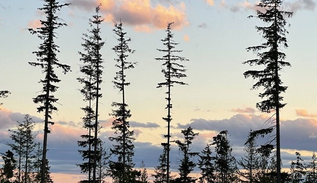 Stargazer & hikers paradise tiny house getaway on Big Sky Tiny Ranch