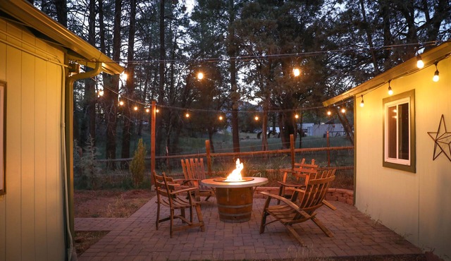 ✨🐶 STARLIGHT MODERN BOHO COTTAGE | STEPS AWAY FROM TOWN | DOG FRIENDLY 🐾
