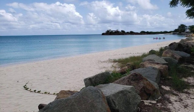 Start your adventure with us on Runway's White Sandy Beach.