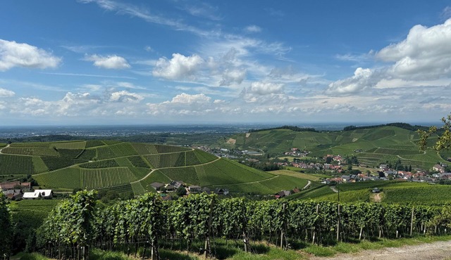 Staufenbergblick Durbach
