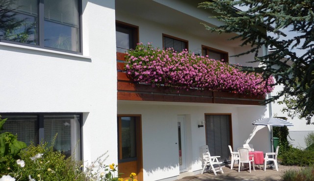 Stay 14 days - pay 13 days! vacation apartment in a small adventure village in the Sauerland