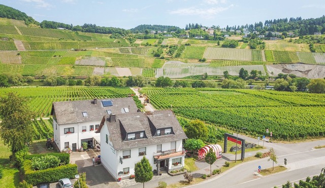 Stay at the wine-farmer, directly at the Moselle