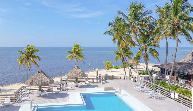 Stay Beachside: Ground Floor Studio with Gorgeous Ocean Views