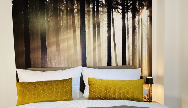 Stay central Black Forest apartment for 1-2 people. 5 min. walk to the center