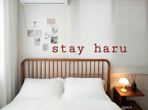 STAY HARU in Daegu