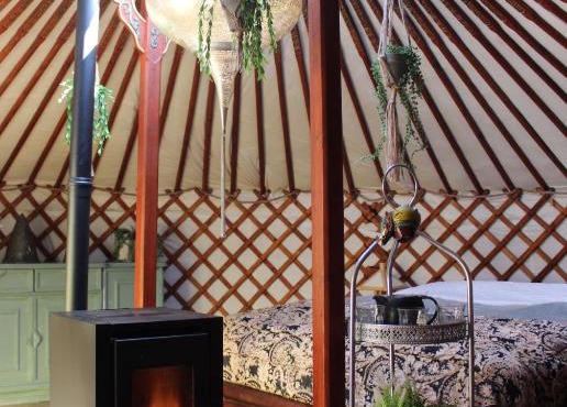 Stay in Yurt