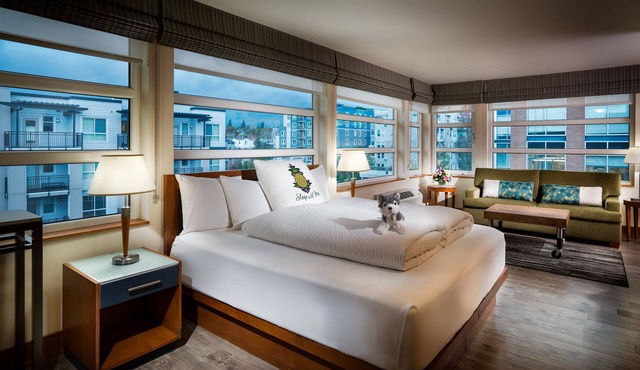 Staypineapple, Watertown Hotel, University District Seattle