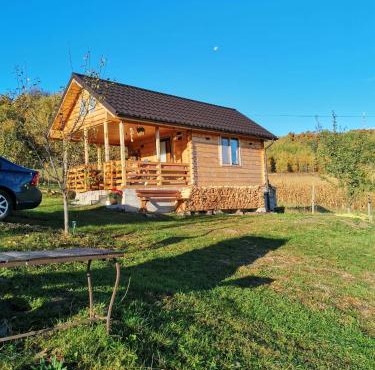 Stefana's Tiny House Nature Retreat