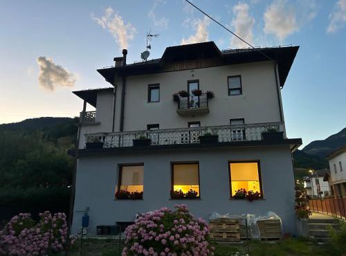 Stella Alpina