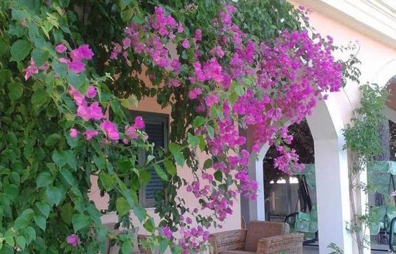Stella marina residence