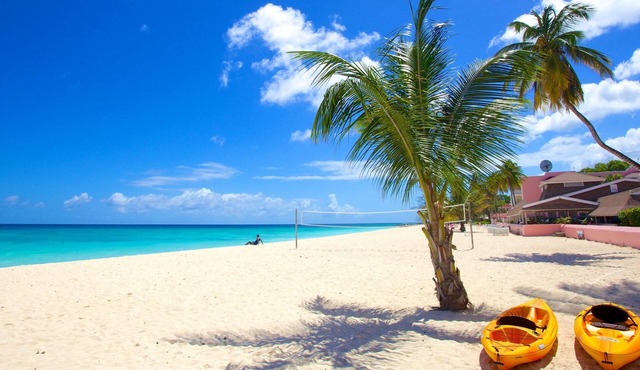 Steps Away from Dover Beach! 3 Convenient Units | FREE Parking, Outdoor Pool!