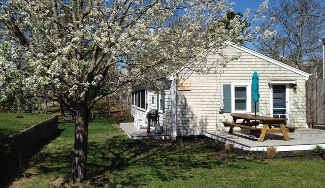 Steps to Cooks Brook Beach! A/C, Heat, Wifi, Outdoor Shower, Gas Grill