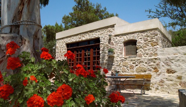Stone-built studio under two Eucalyptus trees.